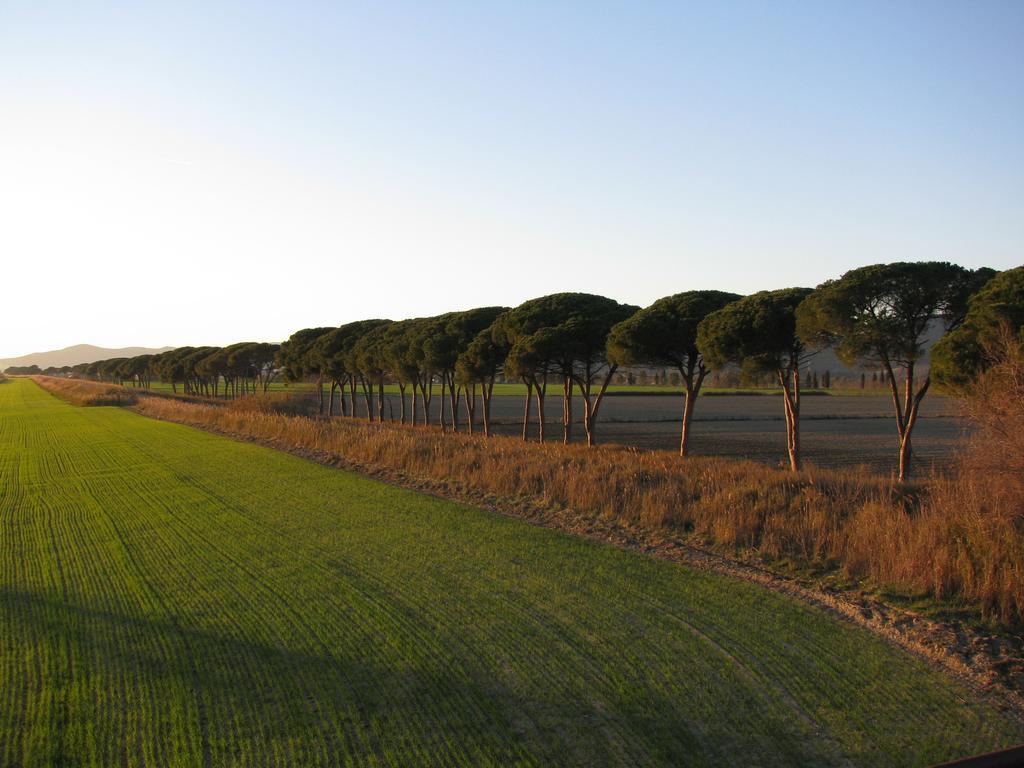 Appartamenti Il Granaio Marina di Grosseto Exterior photo