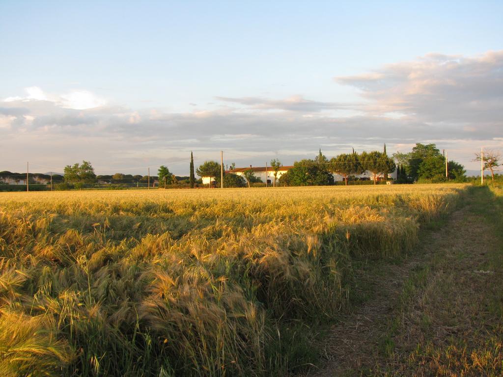 Appartamenti Il Granaio Marina di Grosseto Exterior photo